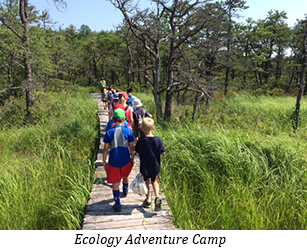 Ecology Aventure Camp